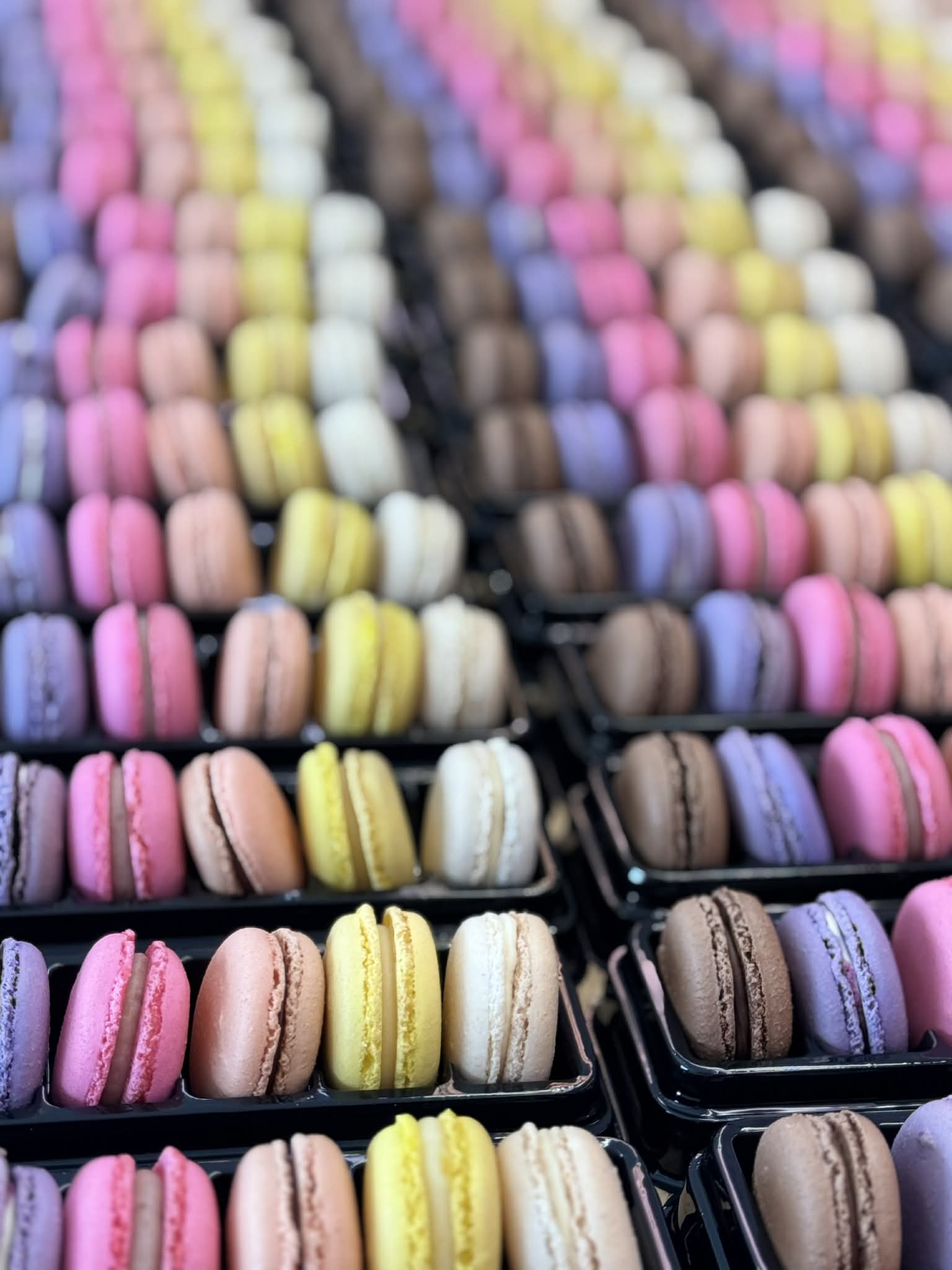 Coffret de six Macarons Assortis